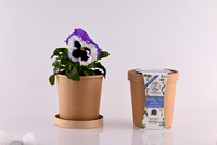Myrtali Cups Mar23 4877