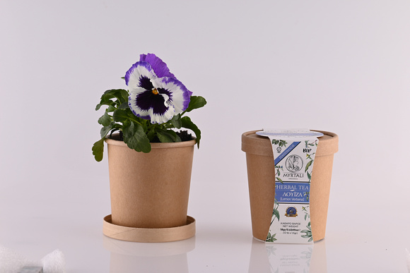 Myrtali Cups Mar23 4877