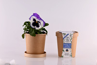 Myrtali Cups Mar23 4878