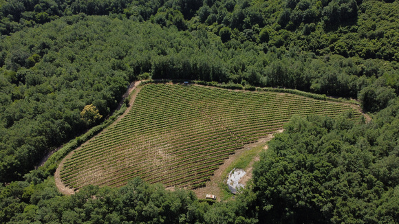 AMPELIA KITAS Jun21 DJI_0199