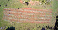MYRTALI Field DR 05